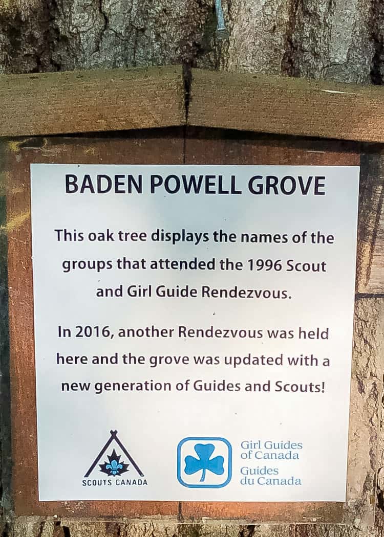 Manitoulin Island Camping - Girl Guide Tree Sign