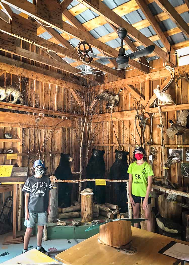 Manitoulin Island Camping - Interpretive Centre - Bears
