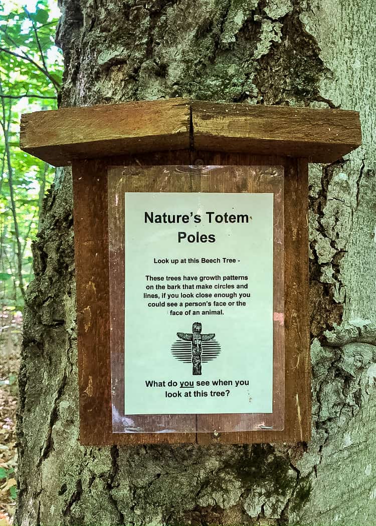 Manitoulin Island Camping - Plaque in Forest